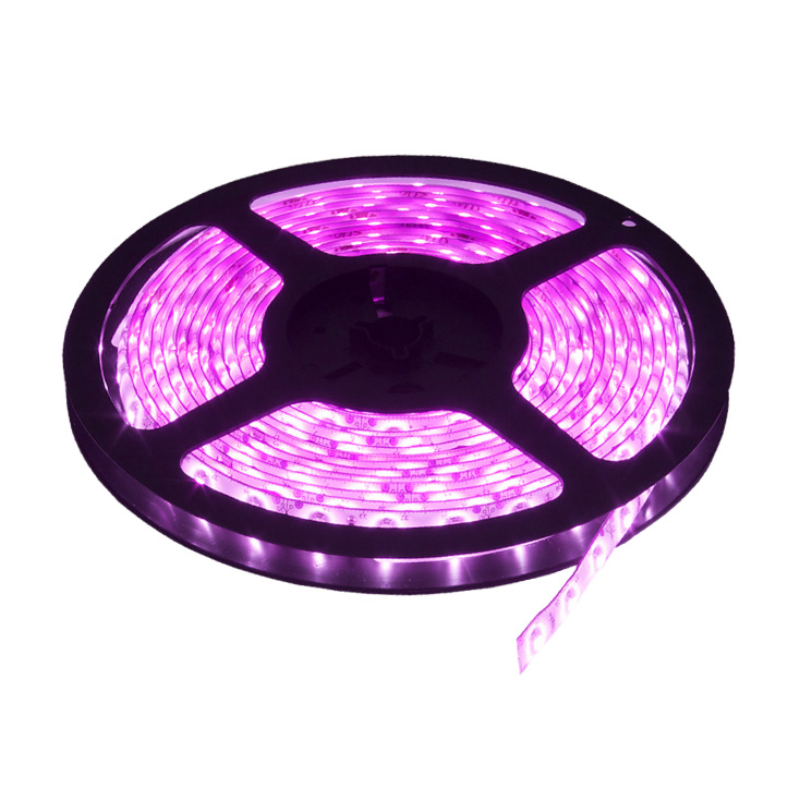 LED traka roza 60 LED / 1m