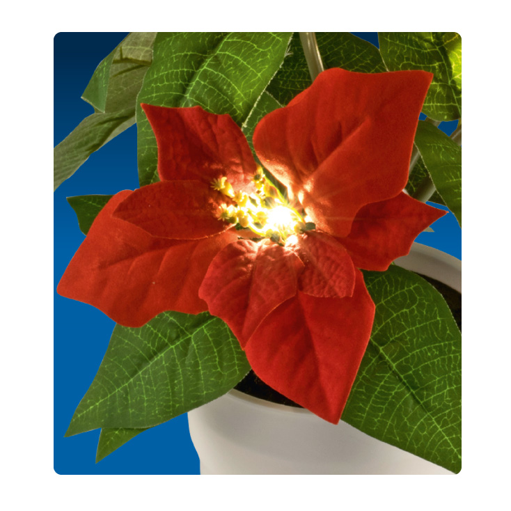 Ukrasno cveće "božićna zvezda" sa LED diodama