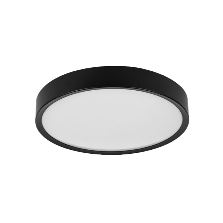 LED plafonjera 24W hladno bela