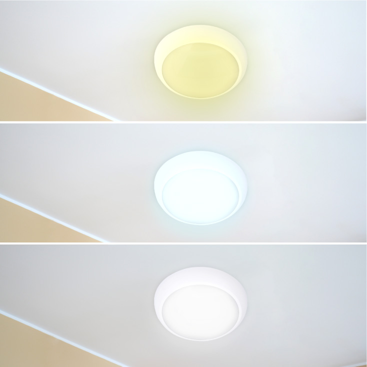 LED plafonjera 16,20,24W, promenljiva boja svetla