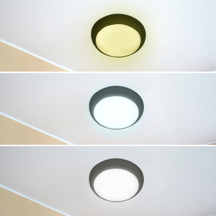 LED plafonjera 16,20,24W, promenljiva boja svetla slika 3
