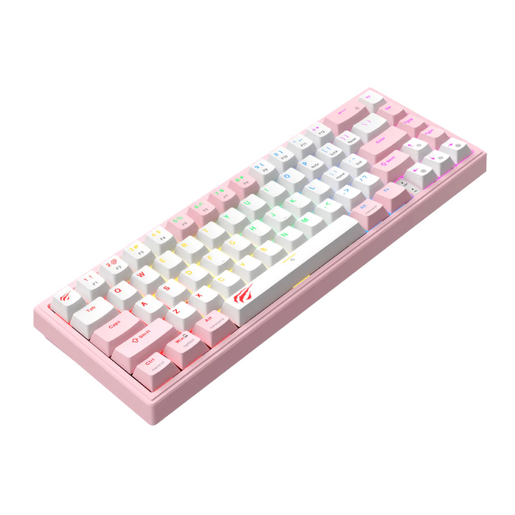 Mehanička RGB USB tastatura Havit KB874L slika 2