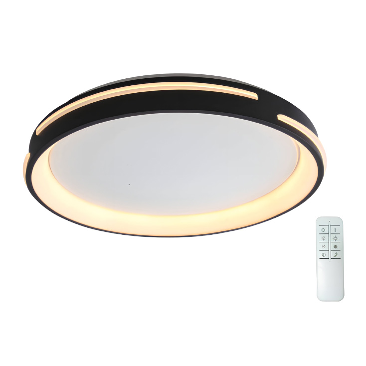 LED plafonjera 48W, promenljiva boja svetla slika 1