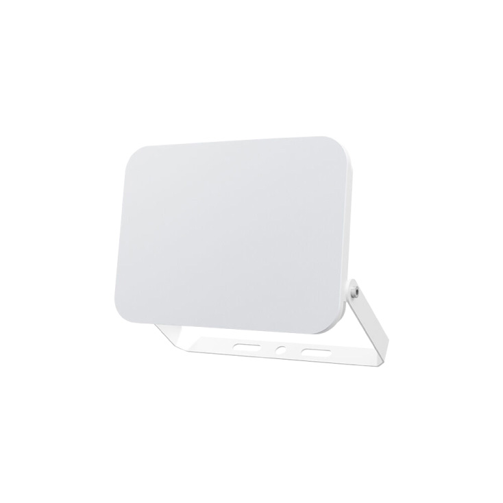 BRAYTRON CCT LED reflektor 10W slika 1