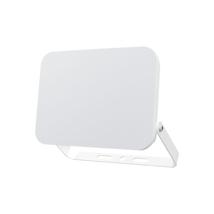 BRAYTRON CCT LED reflektor 30W slika 1