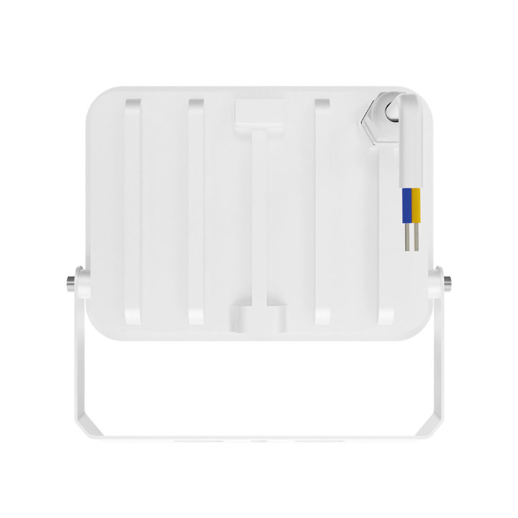 BRAYTRON CCT LED reflektor 30W slika 3