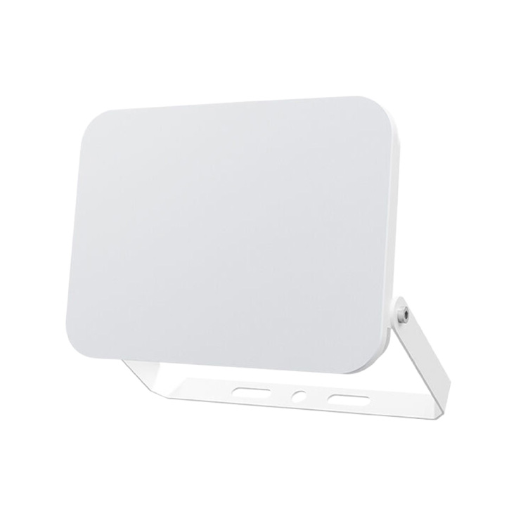 BRAYTRON CCT LED reflektor 50W slika 1