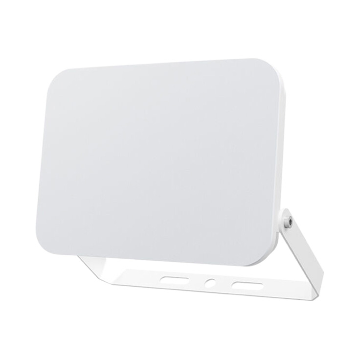 BRAYTRON CCT LED reflektor 100W slika 1