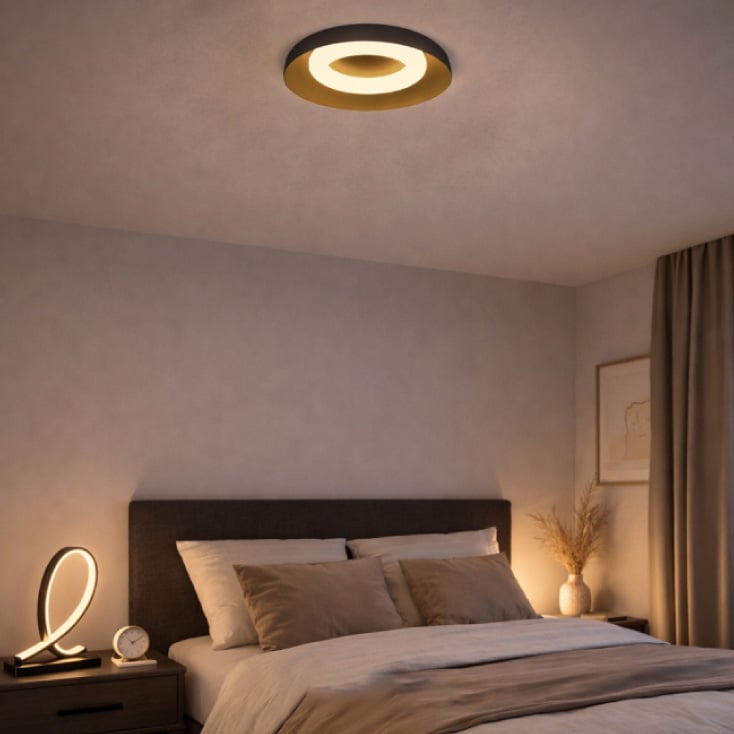 LED plafonjera 24W, promenljiva boja svetla 202508 slika 2